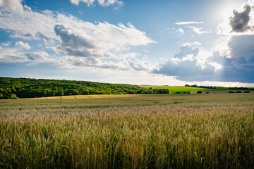 Hungarian countryside in summer