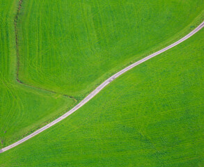 Aerial view to small road in green meadow. Austria landscape