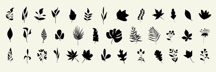 Big set of leaf silhouettes. Autumn and spring background. Collection of leaves of fern, maple, chestnut, birch, rowan, oak, willow, lilac, aspen, ash, ginkgo biloba. Stock vector illustration
