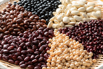 多種類の豆の集合