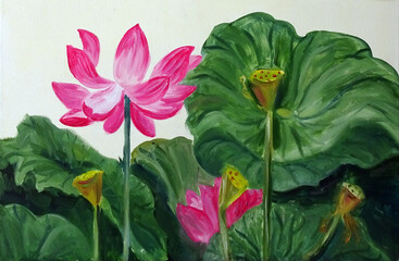 Lotus flowers and bolls on a background of green leaves, oil painting