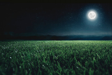 Green field on the background of the night sky.  Elements of this image furnished by NASA