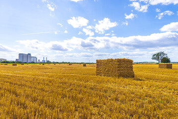 Wheat Field Hay Bail