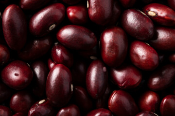 北海道産の大正金時