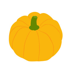 Vector illustration of a pumpkin isolated on a white background.
