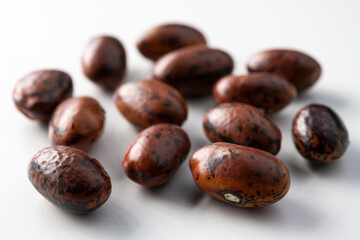 北海道産のうずら豆