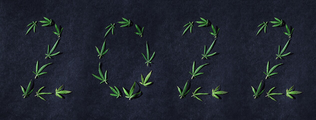 Pattern of cannabis leaves in the form of numbers 2022 on a dark background. The concept of a new...