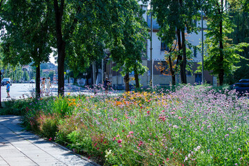 City parks. People walk and relax in the city park. 