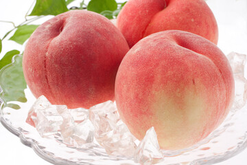 桃　もも　飛騨桃　　