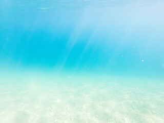 Fototapeta na wymiar Nice underwater shots in the sea
