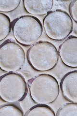Small circles of raw dough prepared for cooking dumplings close-up