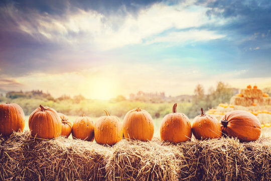 Halloween pumpkins on hay.