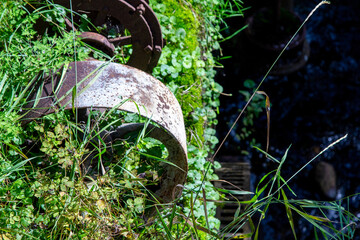 Old parts of mechanisms in the forest. Rusty wheels and parts in the grass