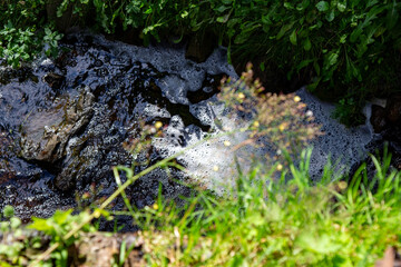 Small and fast stream in the old forest. 