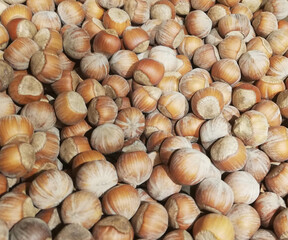 background of brown hazelnuts, close-up, hazelnut hazelnuts