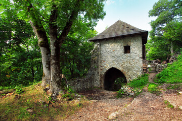 Fototapeta na wymiar Ruin of castle Muran in Slovakia