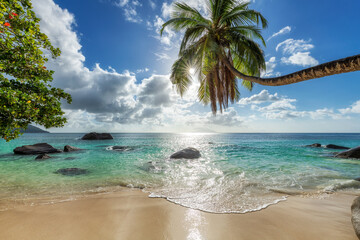 Coco palms at Sunset in tropical beach in paradise island. Summer vacation and tropical beach concept.   - 452453372