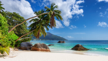 Tropical beach with palms and turquoise sea in Beau Vallon Beach, Mahe, Seychelles. Summer vacation and tropical beach concept.  