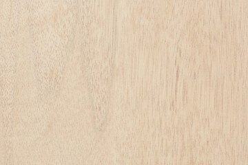 Plywood texture background, wooden surface in natural pattern for design art work.