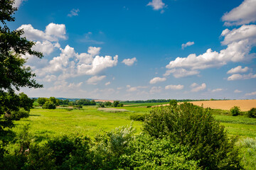 Fototapeta na wymiar Fields in the hungarian countryside in summer