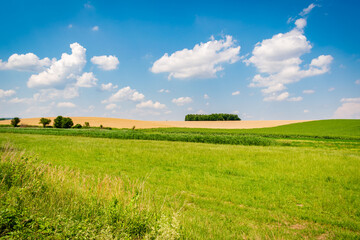 Fields in the hungarian countryside in summer