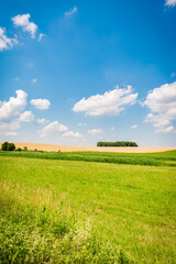 Fields in the hungarian countryside in summer