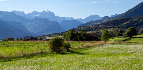 Fototapeta premium Paysage de montagne autour du village de Guillestre dans le département des Hautes-Alpes en été avec alpage et chaîne de montagne