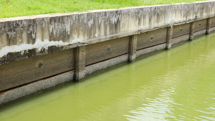 Concrete pool edge. Green water fish pond edge in outdoor garden with copy space. Choose to focus on the subject closely.