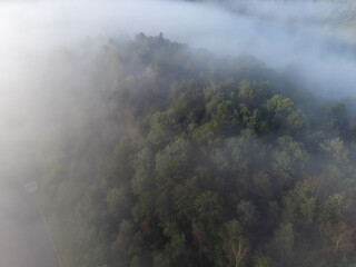 Misty morning in August. Deciduous trees seen from above, aerial, bird's eye view. Nature photography of forest and fog taken with a drone in Sweden.