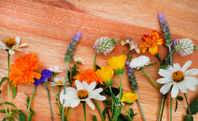 springtime wildflower mixture in flat lay on rustic surface