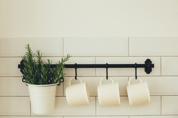 Kitchen interior with white wall and black rail with coffee mug and vase with fresh green rosemary
