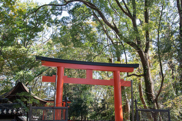 京都　下鴨神社の鳥居