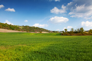 Italian landscape. Near Costigliole d'Asti, Piedmont, Noth Italy