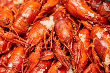 Red boiled crayfish with garlic and dill. Close-up, selective focus