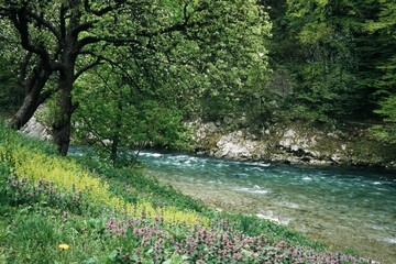 Alpenfluss
