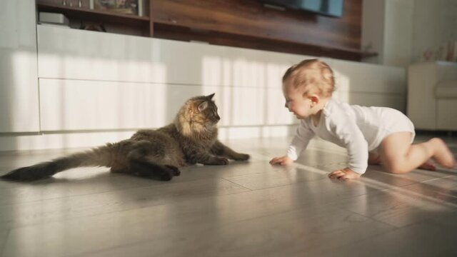 baby playing with cat. Car run away from baby toddler. happy adorable pet, childhood, wild nature concept. High quality 4k footage