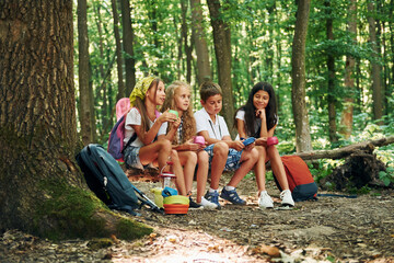 Sitting in the camp. Kids strolling in the forest with travel equipment - obrazy, fototapety, plakaty