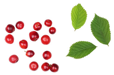 Felted cherries with leaves isolated on a white background, flat lay, top-down