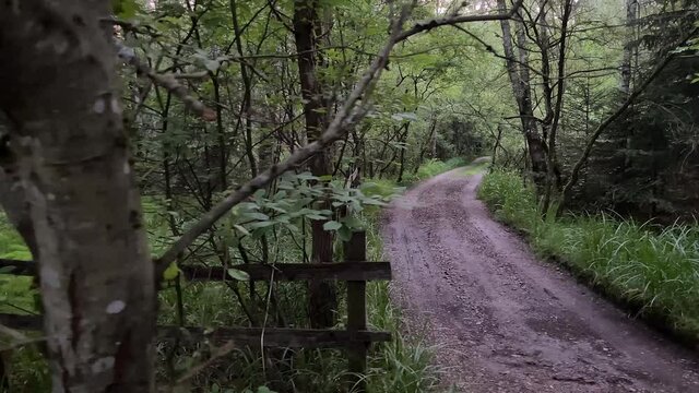 Secret road entrance in a Swedish forest.