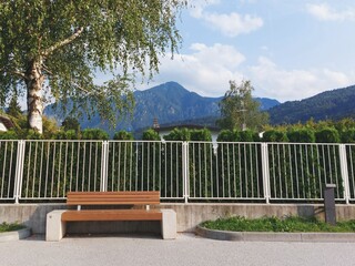 wooden bench in the park