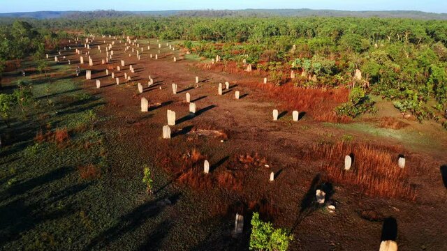 Bird's Eye View Of Mounds Of The Magnetic Termite (Amitermes meridionalis) On A Sunny Day In Litchfield Park, Australia.