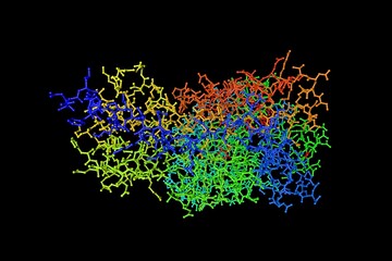 Molecular model of human glucokinase in complex with glucose and activator. Rendering based on protein data bank entry 4dhy. Rainbow coloring from N to C. 3d illustration - obrazy, fototapety, plakaty