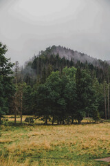 autumn in the mountains