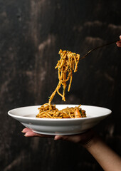 Spaghetti italian food
