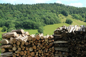 Chauffage au bois (carbone non fossile)