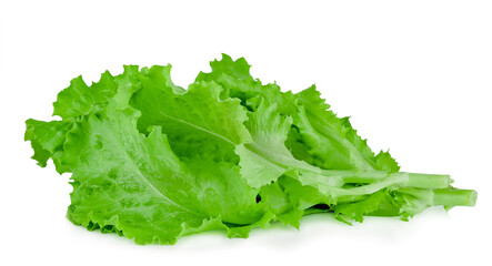 Fresh salad leaf isolated on a white background
