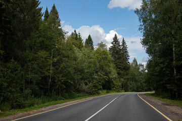 Fototapeta na wymiar asphalt road crossing green coniferous forest