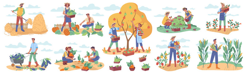 Harvesting season in farms and agriculture. People gathering and collecting ripe vegetables and fruits with berries. Farmers and workers in rural area. Cartoon character in flat style vector