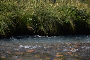 Горная река.