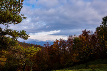 Autumn sunrise in Puigsacalm peak, La Garrotxa, Spain